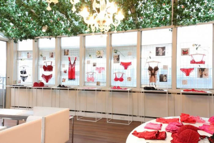 Will women buy lingerie from ? - RetailWire