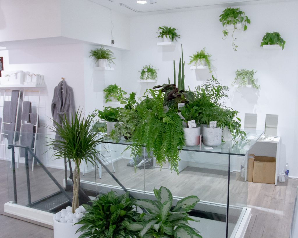How to Use Plants in Your PopUp Store to Make it Pop Storefront