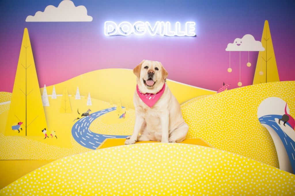 Dogville's pop p was great for social media sharing