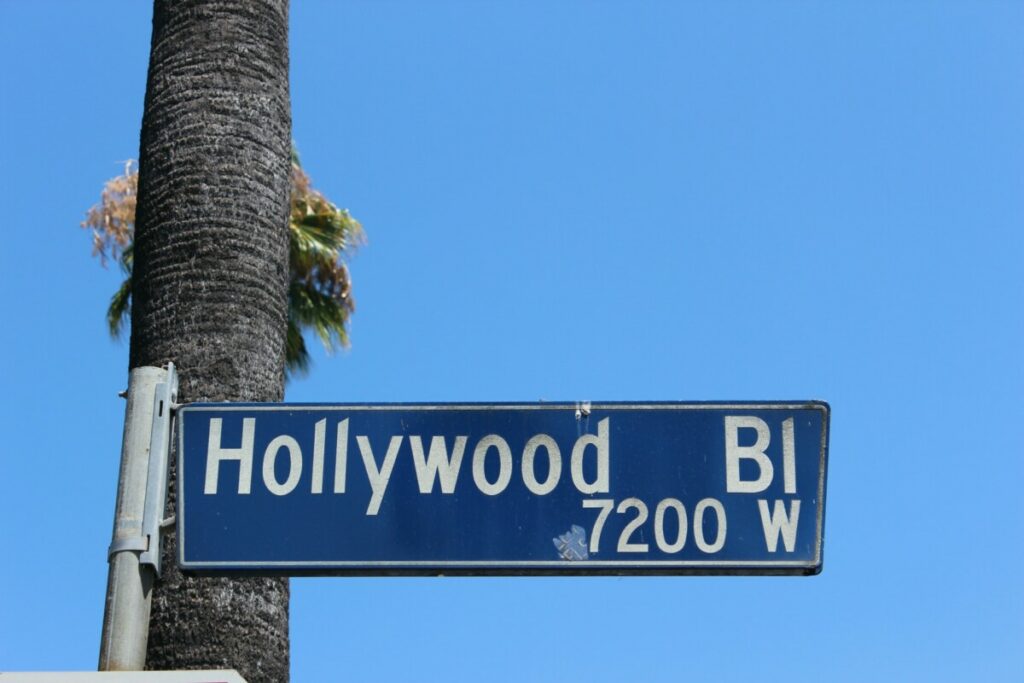 Hollywood Boulevard street sign mounted on a palm trunk against a clear blue sky.